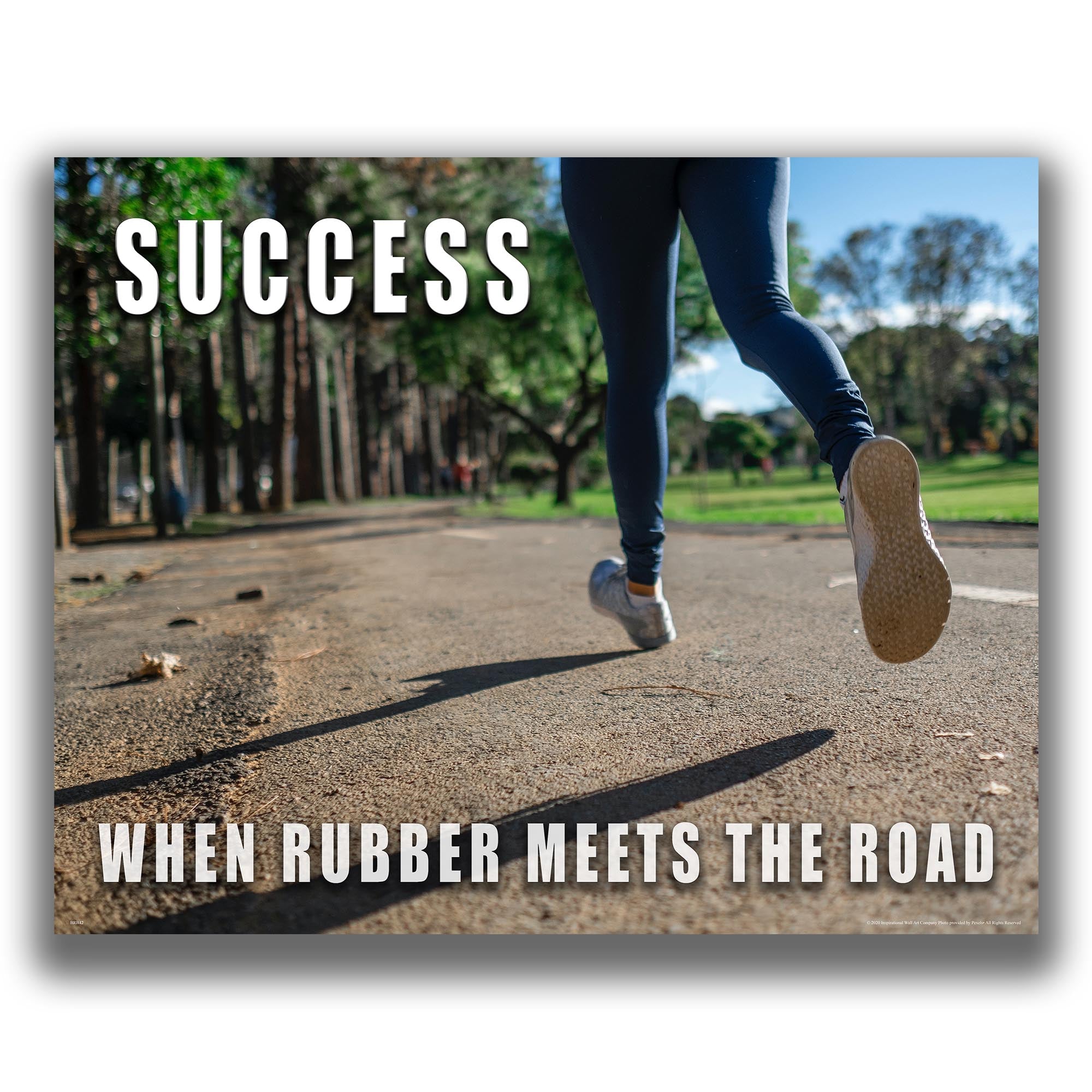 Success - Gym Poster