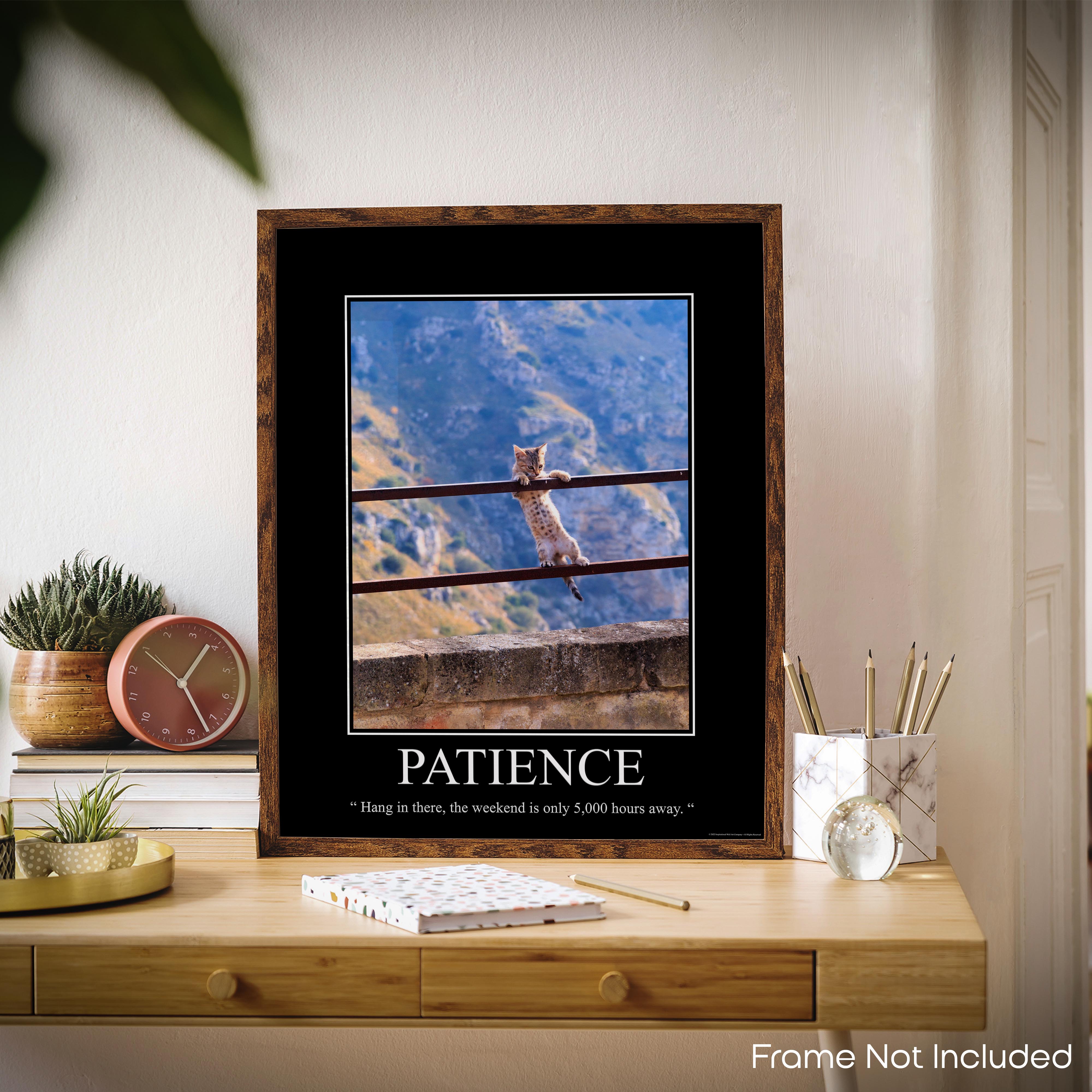 Patience - Demotivational Poster
