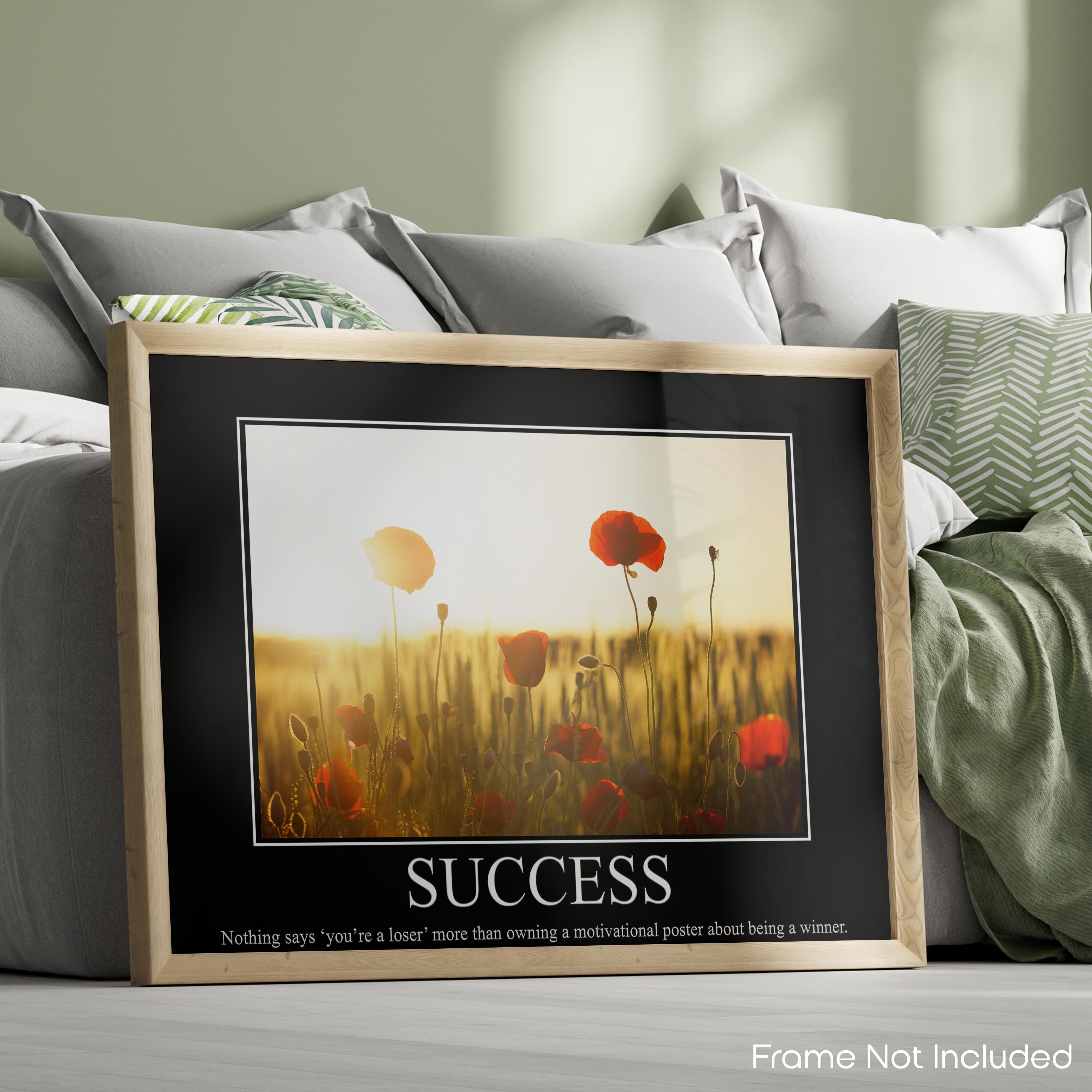 Success - Demotivational Poster