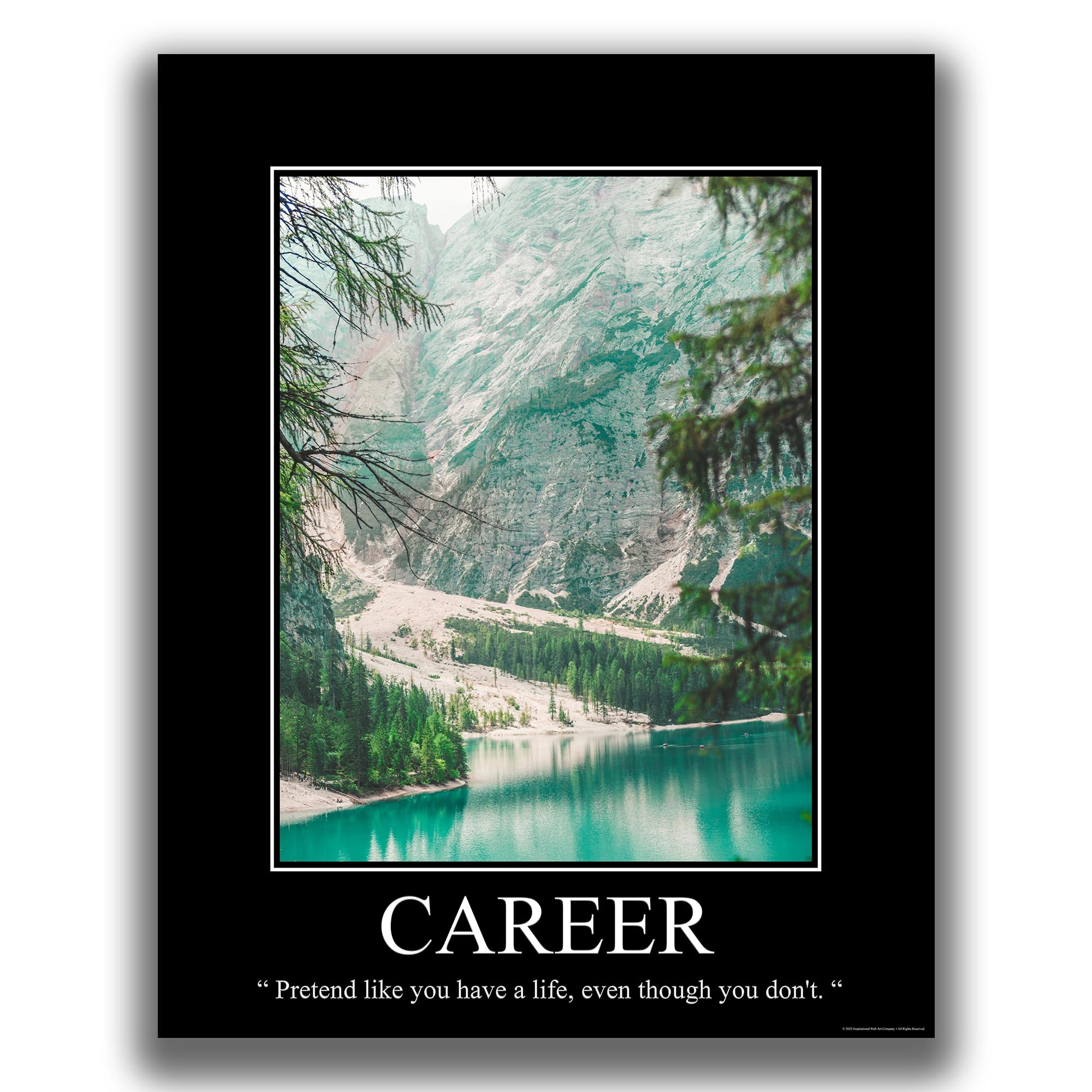 Career - Demotivational Poster