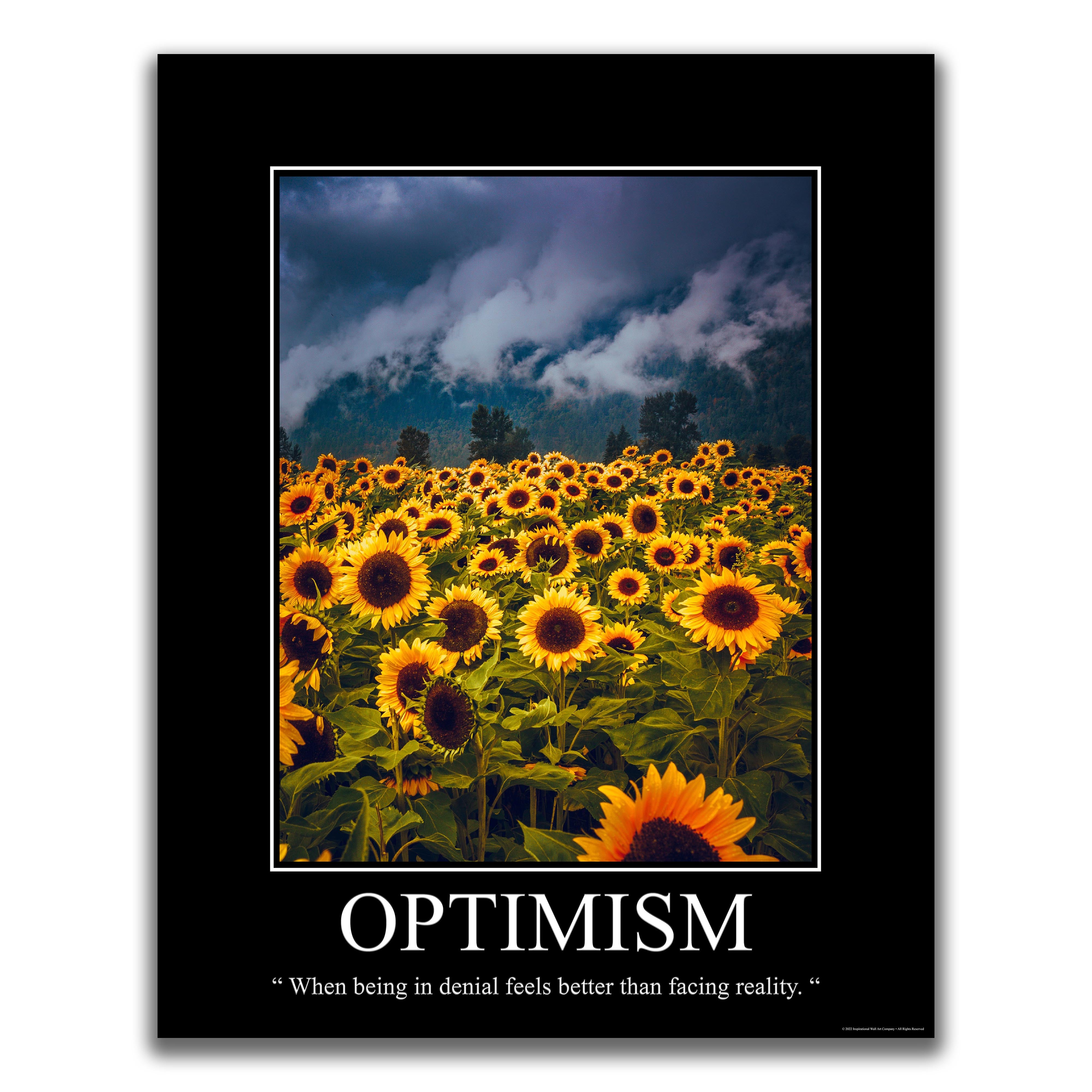 Optimism - Demotivational Poster