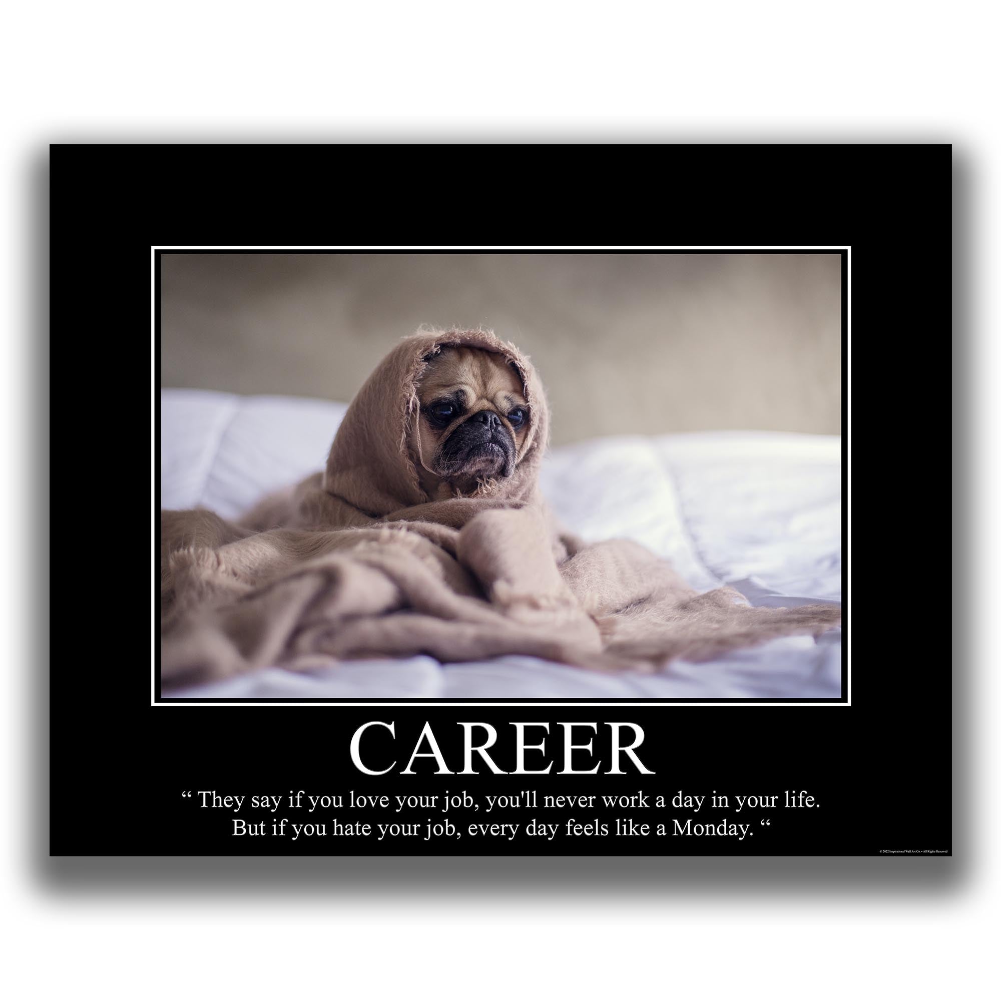 Career - Demotivational Poster