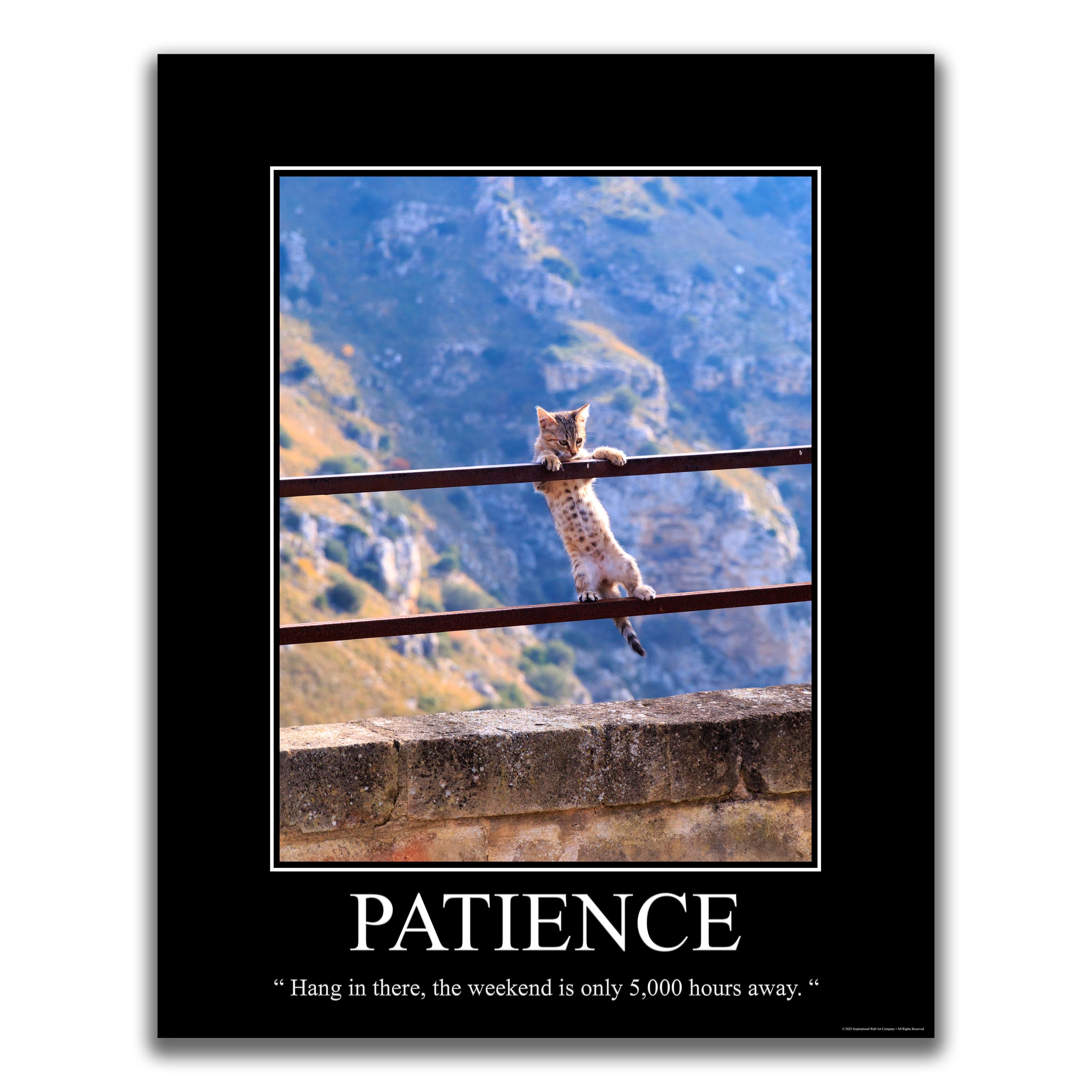 Patience - Demotivational Poster
