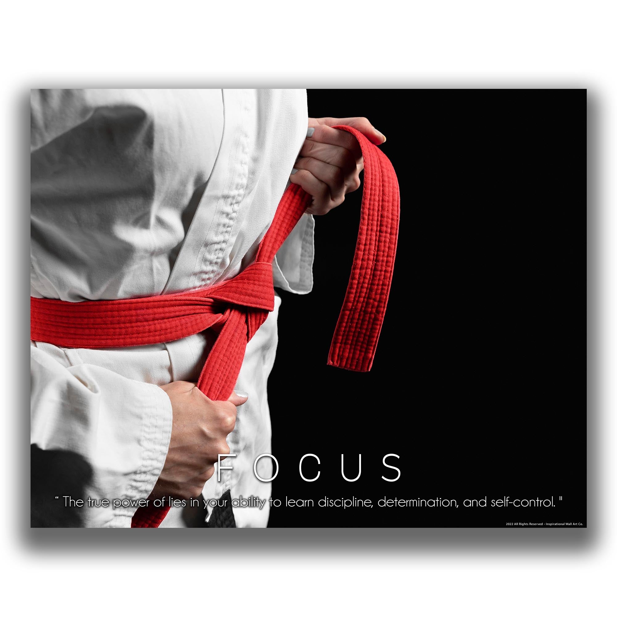 Focus - Martial Arts Poster