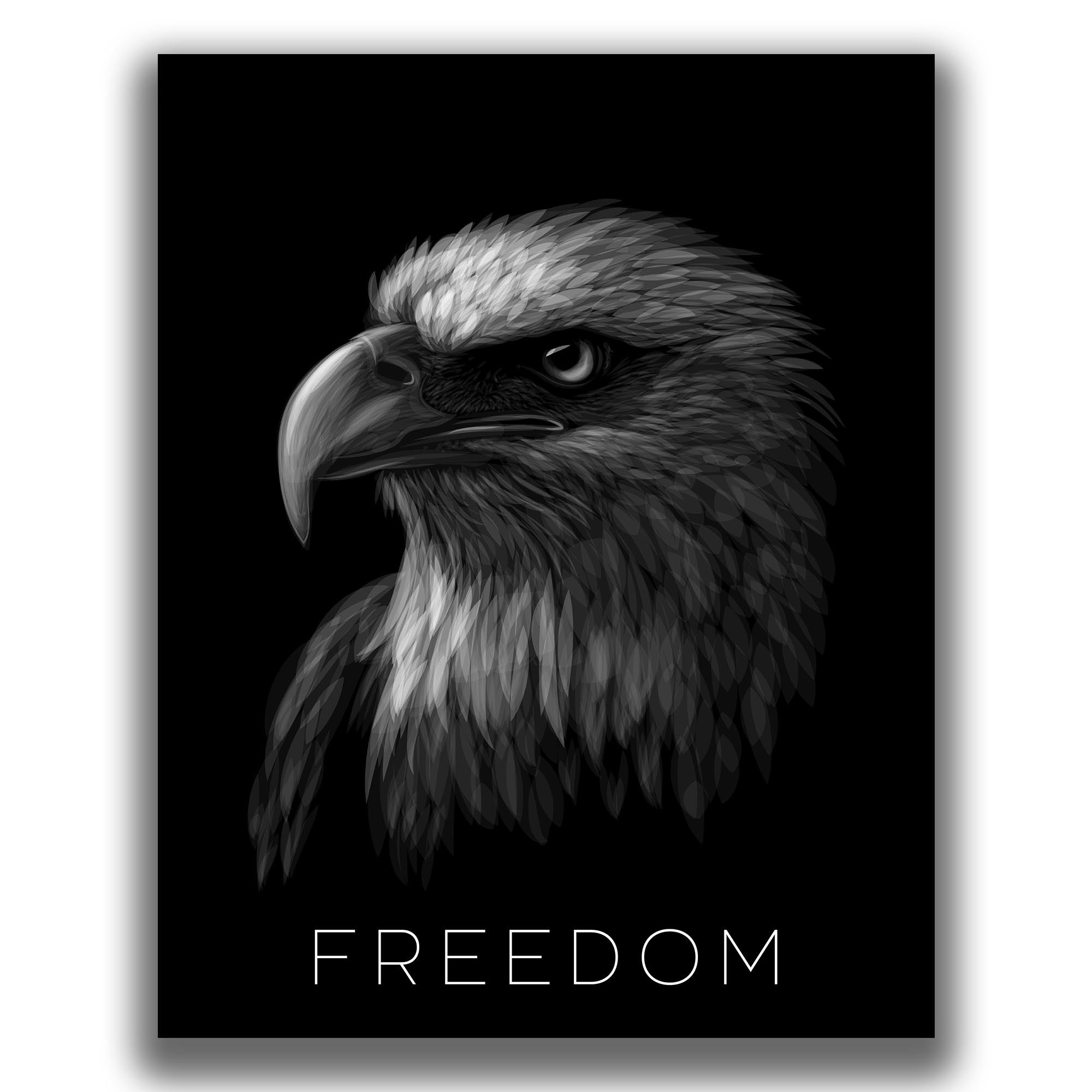 Freedom - Military Poster