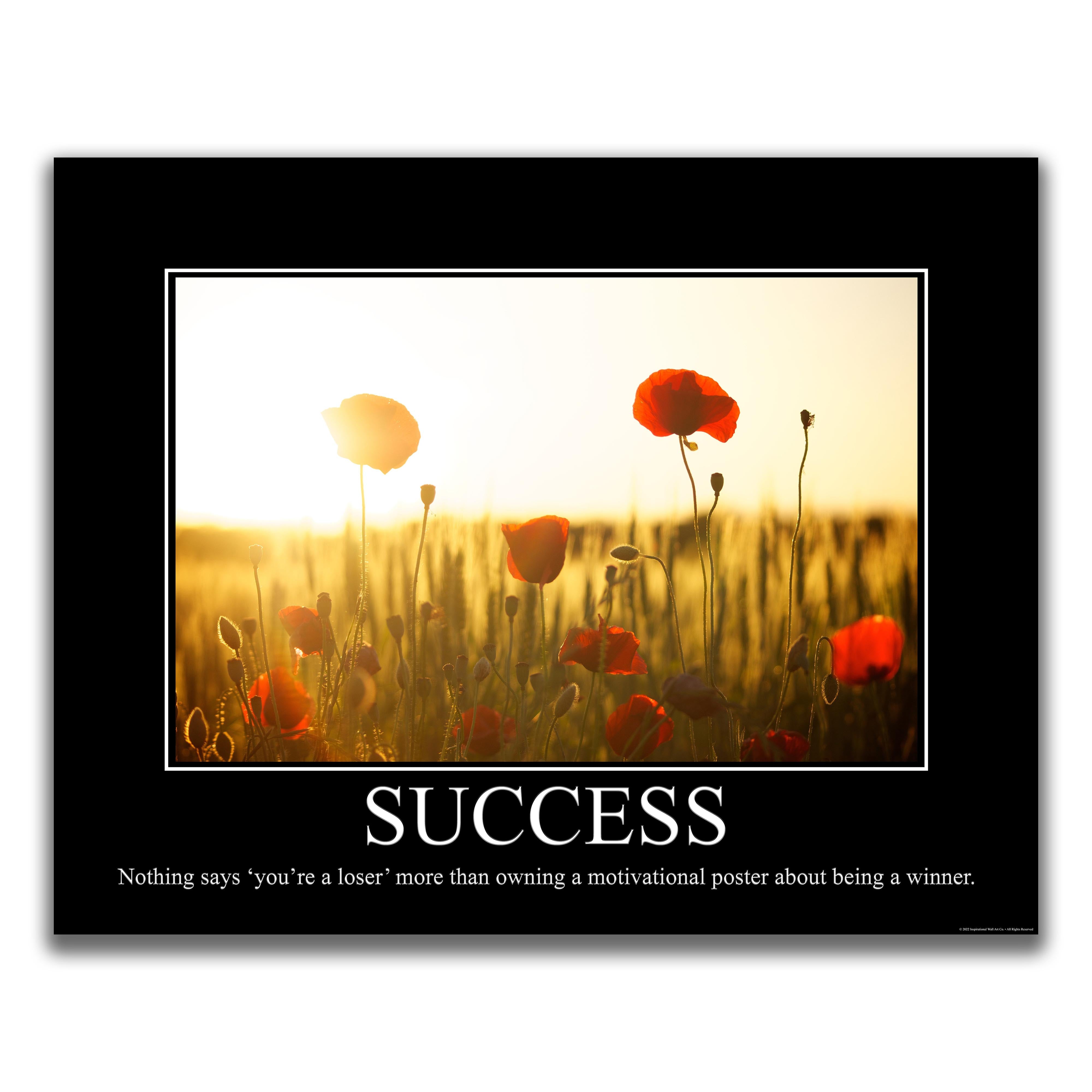 Success - Demotivational Poster