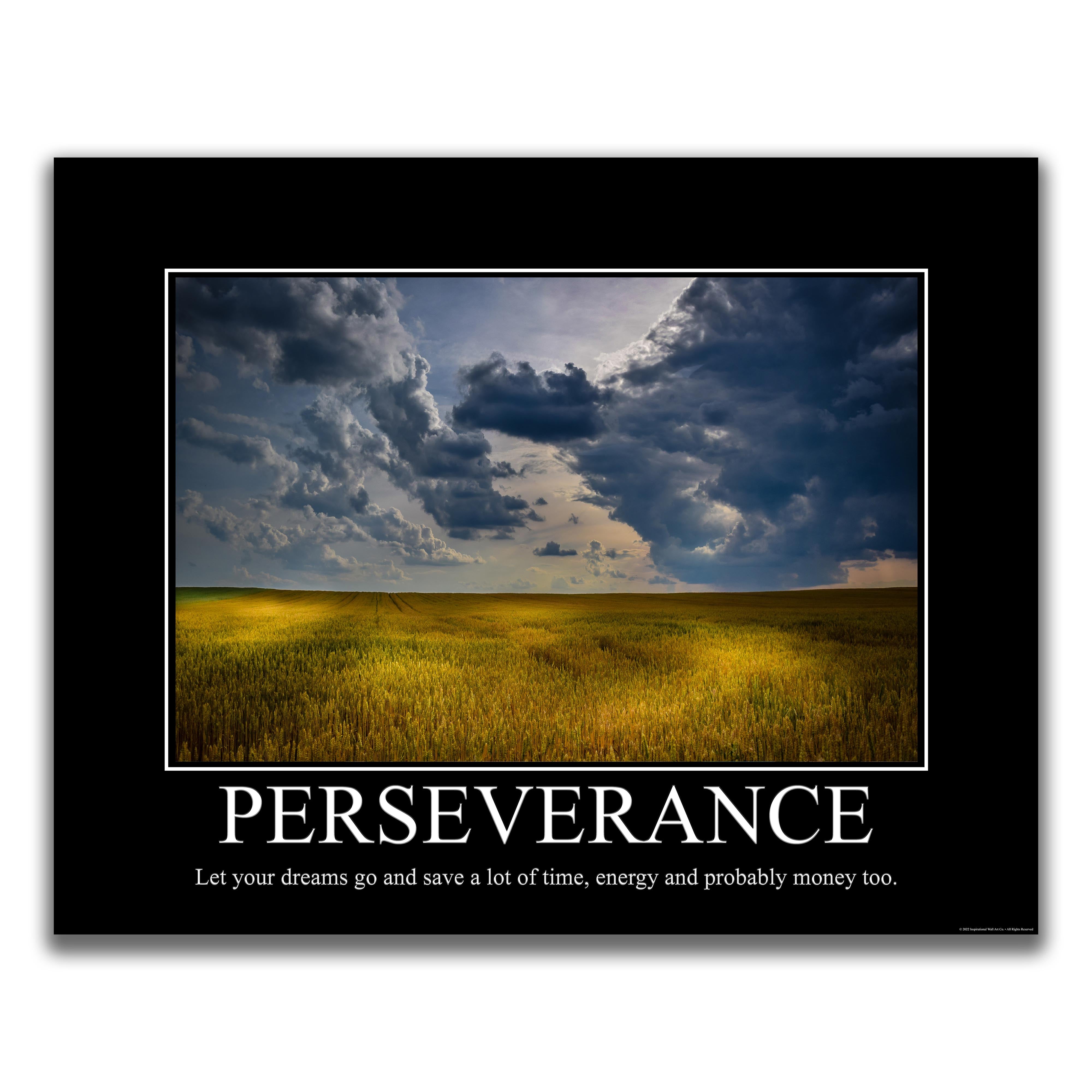 Perseverance - Demotivational Poster