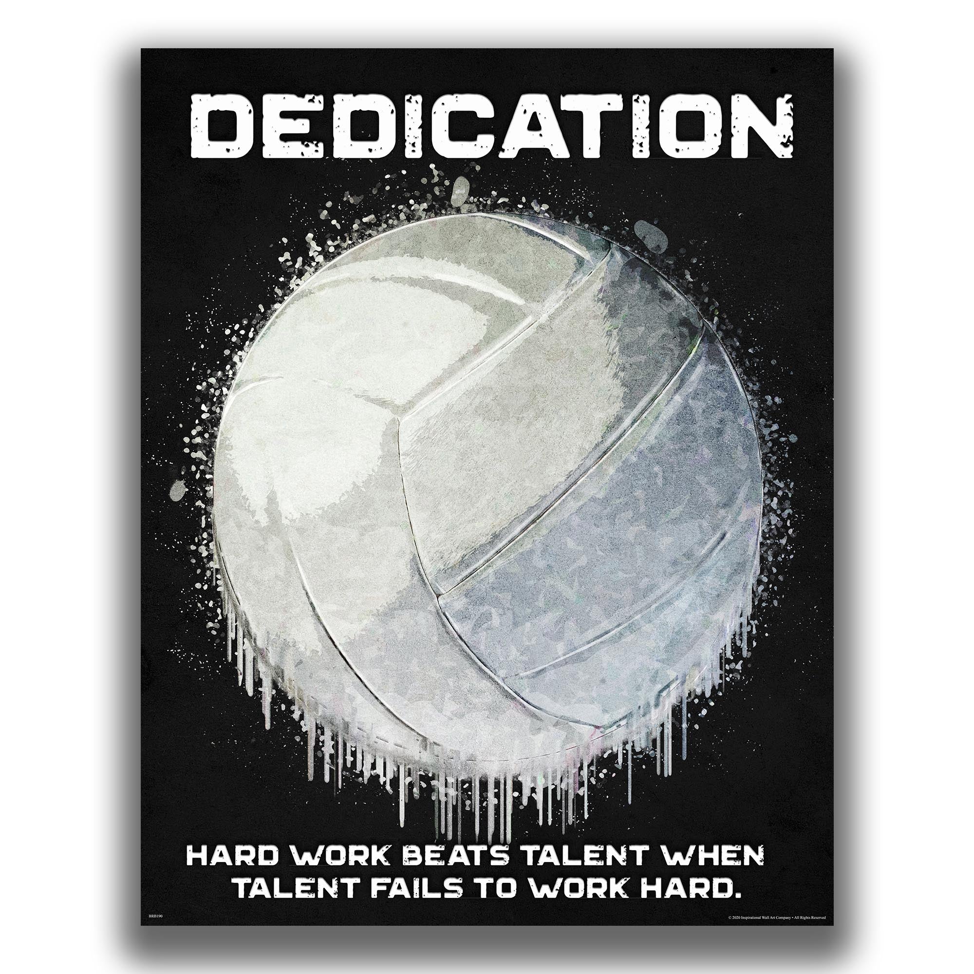 Dedication Hard Work - Volleyball Poster
