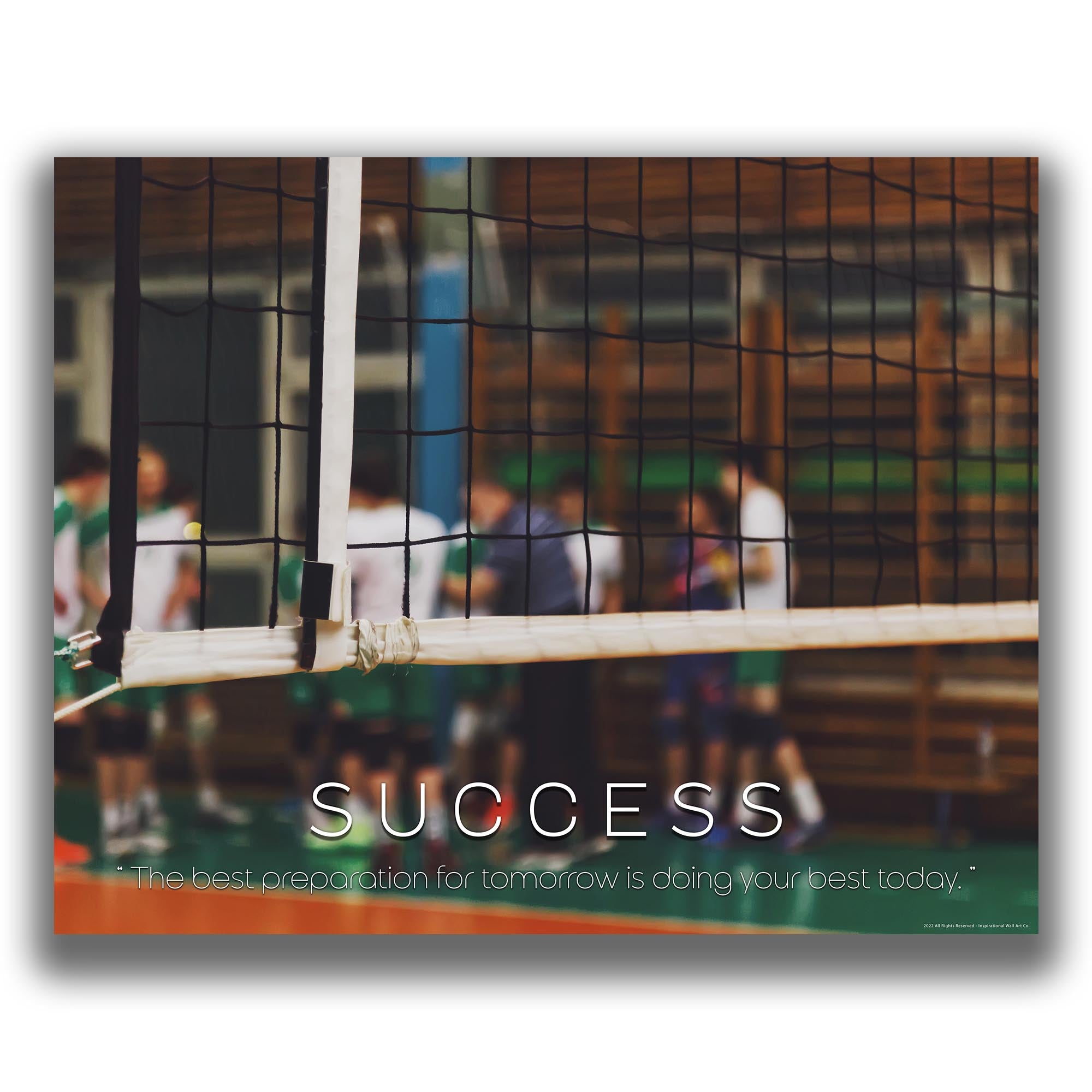 Success - Volleyball Poster