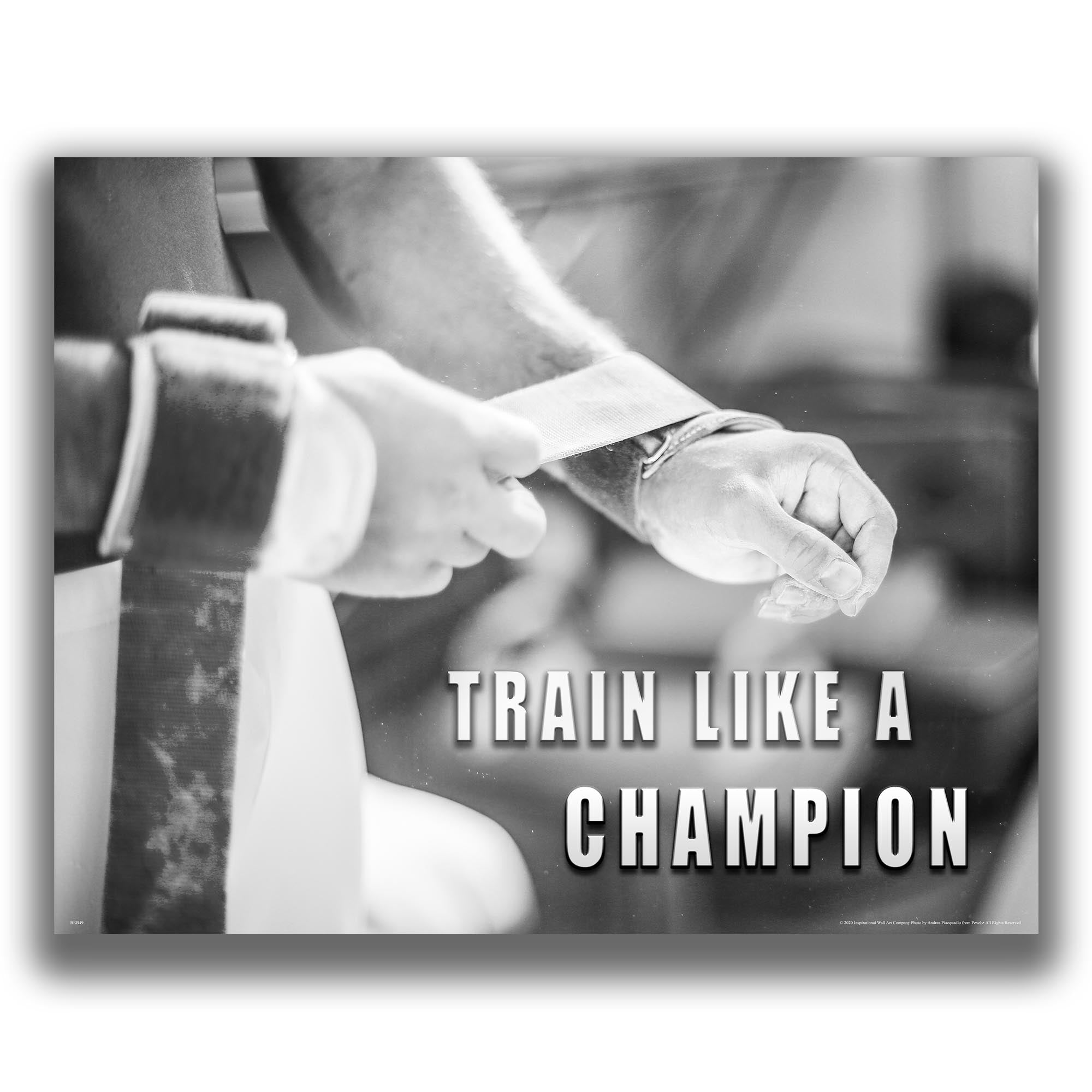 Champion - Gymnastics Poster