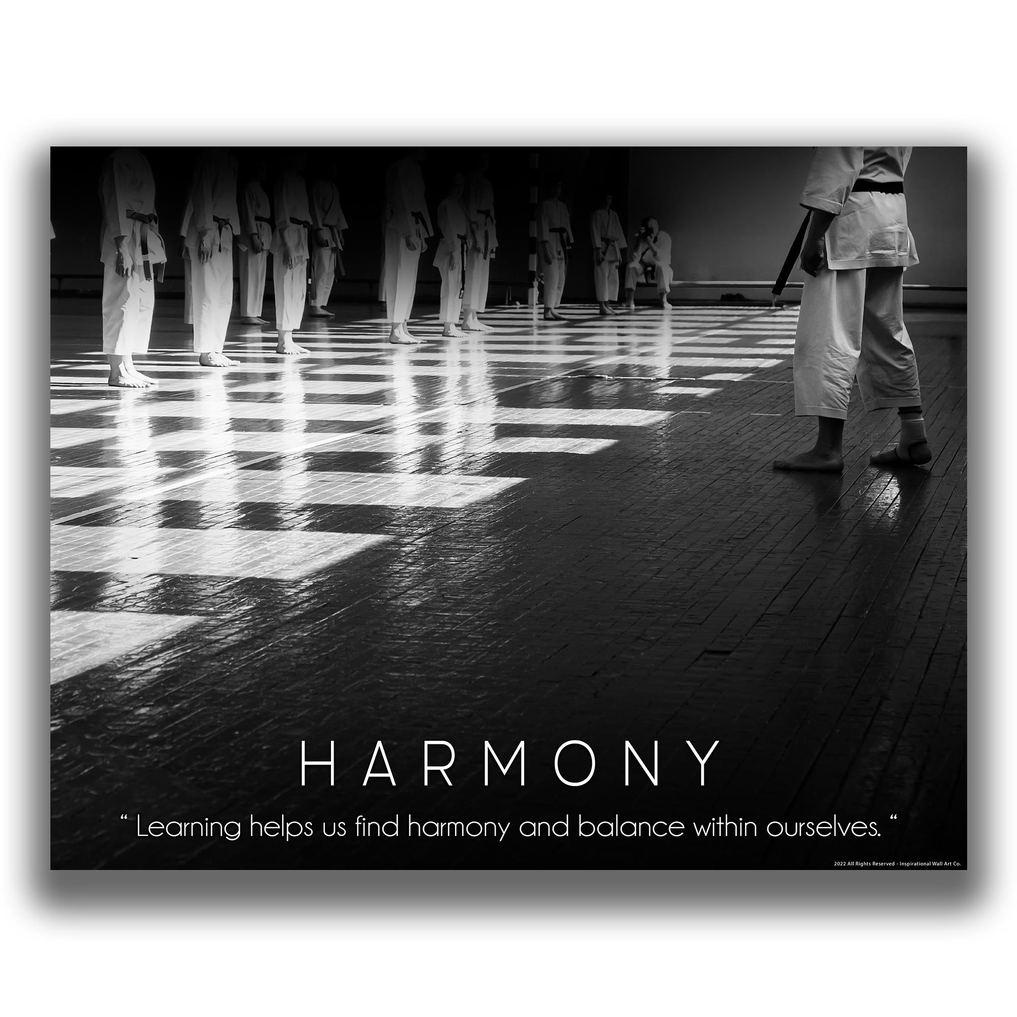 Harmony - Martial Arts Poster