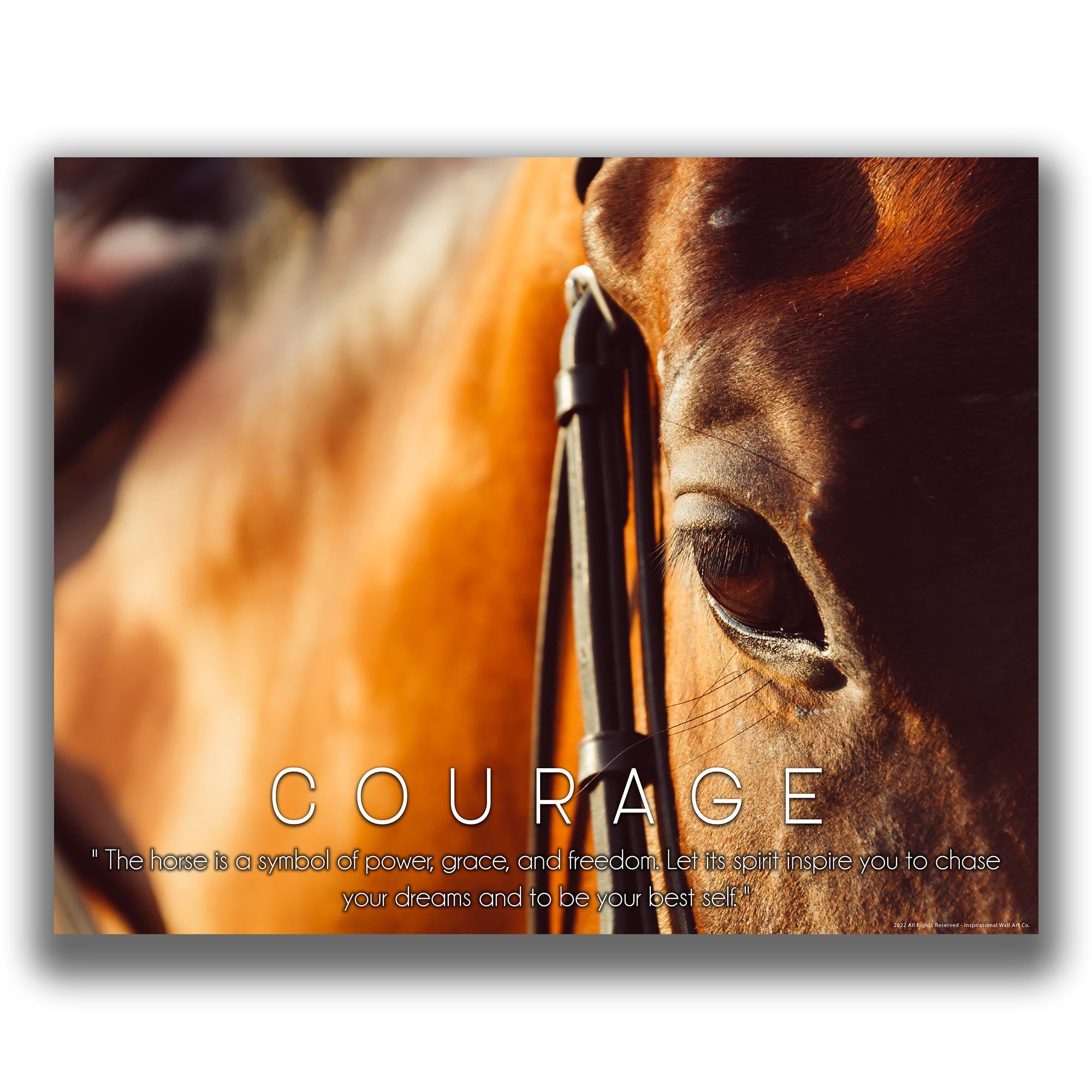 Spirit - Equestrian Poster