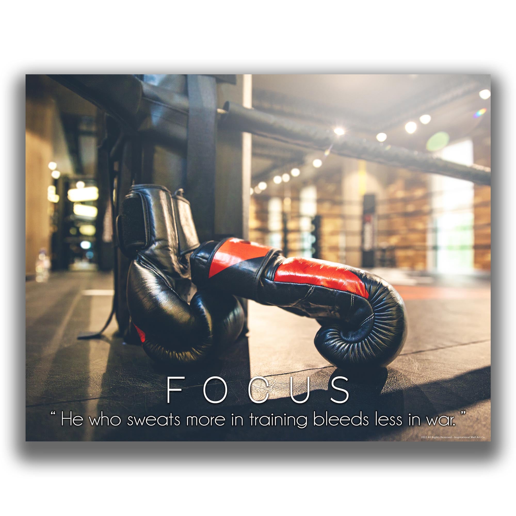 Focus - Boxing Poster