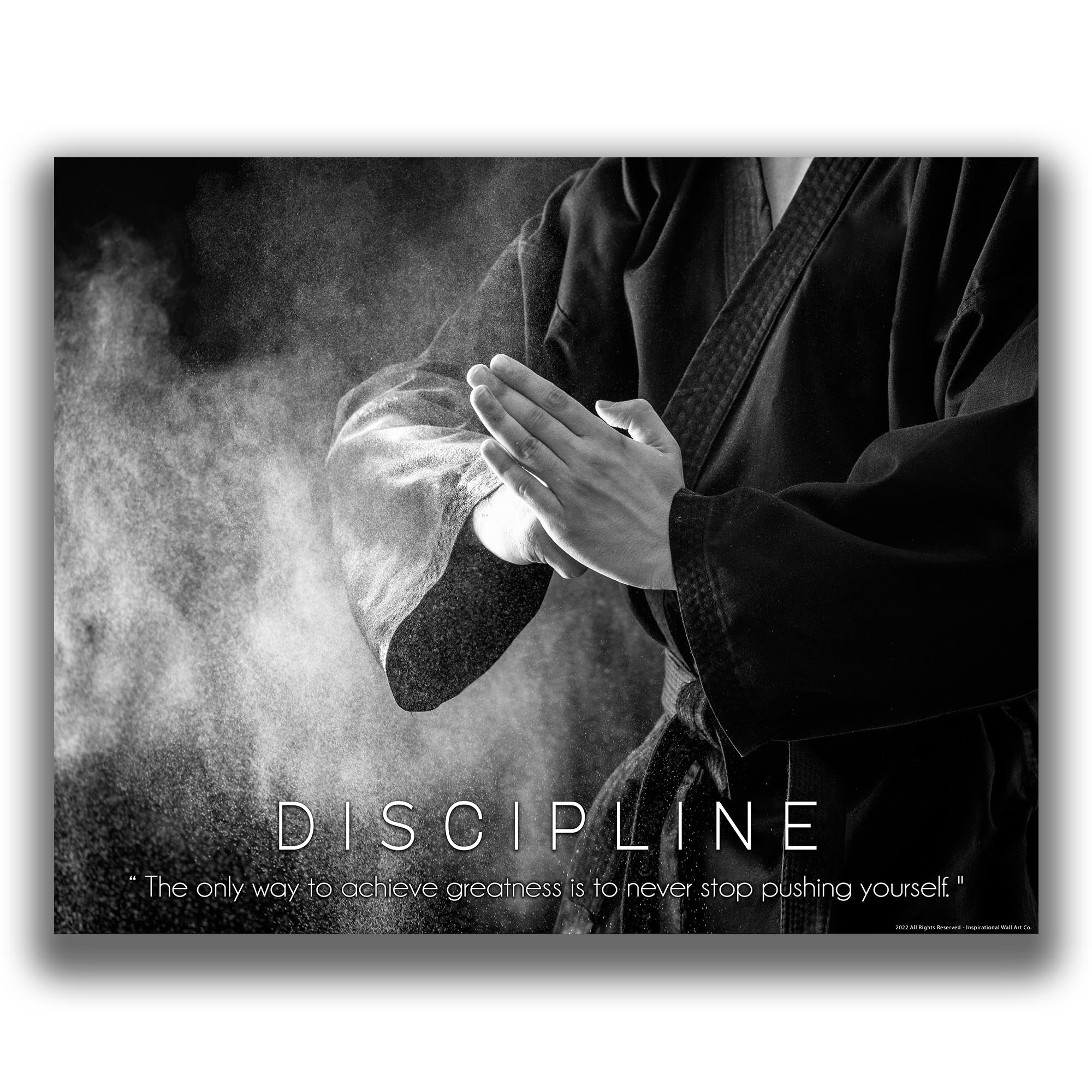 Discipline - Martial Arts Poster