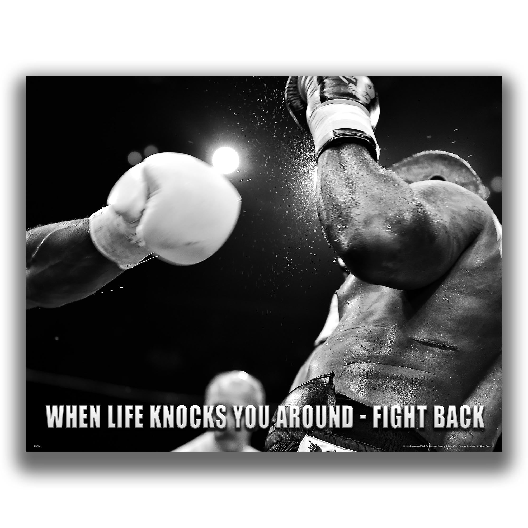 Fight Back - Boxing Poster