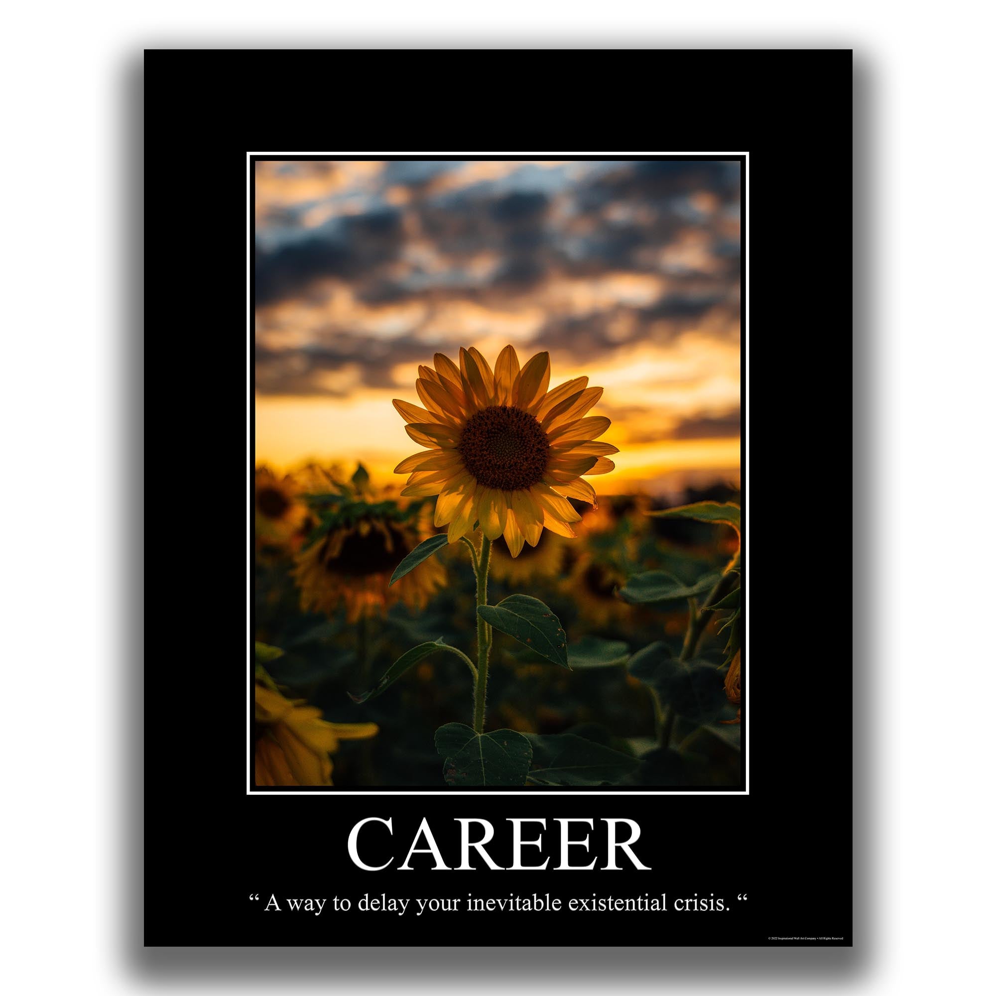 Career - Demotivational Poster